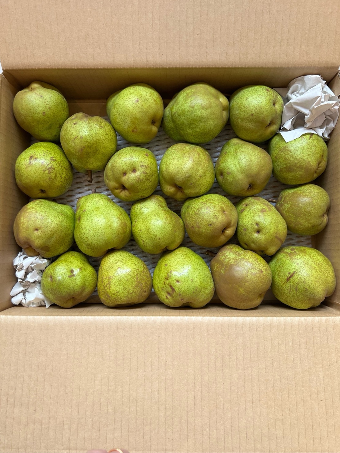 ありのままの果実 ラ・フランス5kg | 深瀬農園